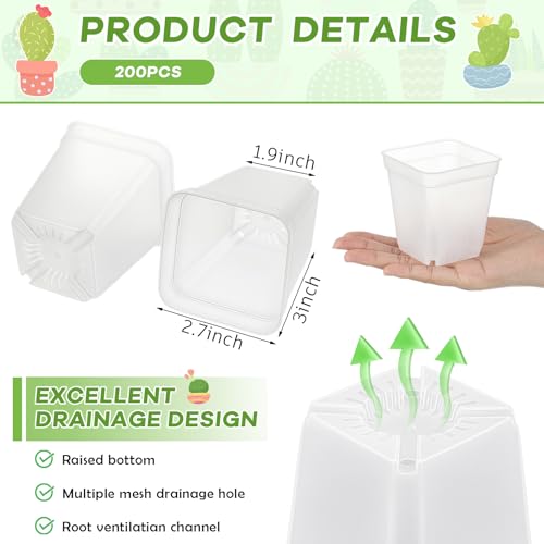 Yaomiao 200 Pack 3 Inch Clear Nursery Pot Square Flower Pots Plastic Plant Succulent Planter Seed Starting Pots with Drainage Holes for Garden Office Balcony Decor Indoor Outdoor Plant Seedling - color: Clear