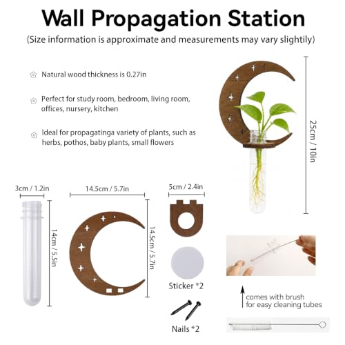 Artilady Plant Propagation Station, Moon Wall Hanging Wood Terrariums Tube - color: Crescent Moon