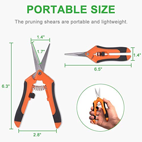 GROWNEER 3 Packs Straight Pruning Shears, 3 Packs Curved Blades Trimming Scissors For Cannabis Gardening Hand Pruning Snips Titanium Coated Precision Blades