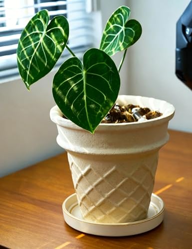 Plant Saucers, 4-Pack 4.5 Inch Ceramic Plant Saucers, Glazed Plant Pot Saucers, Drainage Drip Water Tray, Plant Trays to Catch Water for Indoors Outdoors Succulents Small Potted Plants (White) - color: White