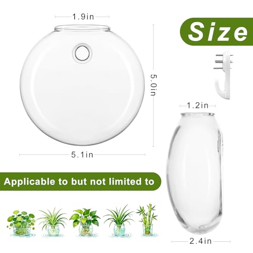 Wall Propagation Planters, 4 Pack Oblate Hanging Plant Holder Vase - size: 5.1"L x 2.4"W x 5"H
