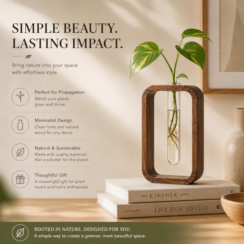 Modern Wooden Frame Glass Vase Hydroponic Planter – Minimalist Square Propagation Station with Test Tube Vase – Indoor Plant Terrarium for Flower, Cuttings & Home Office Decor