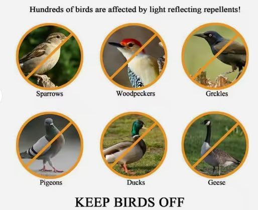 350 ft Reflective Scare Tape Ribbon for Bird Deterrence - Dual-Sided Repellent for Pigeons, Grackles, Woodpeckers, Geese, Herons, Blackbirds, and More – Durable and Highly Effective