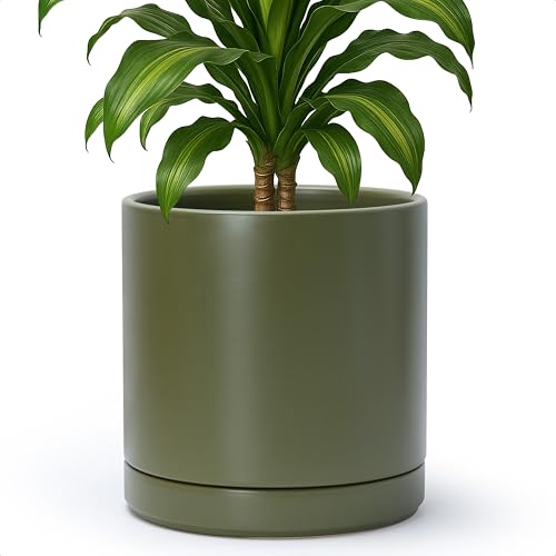 D'vine Dev 10 Inch Ceramic Planter Pot, Olive, 94-O-E-J - color: Olive, size: Large