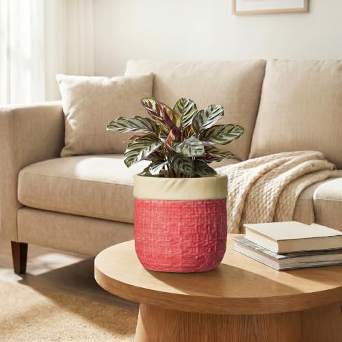 6 Inch Pots for Plants, Ceramic Planter, Round Flower Pots, Red - color: Red, size: 6 Inch