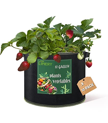 LINERY 10-Pack 10 Gallon Grow Bag Planting Black Heavy Duty Thickened Grow Bag with Handles Non-Woven Fabric Plant Pots (10-Pack 10 Gallon) - size: 10-Pack 10 Gallon