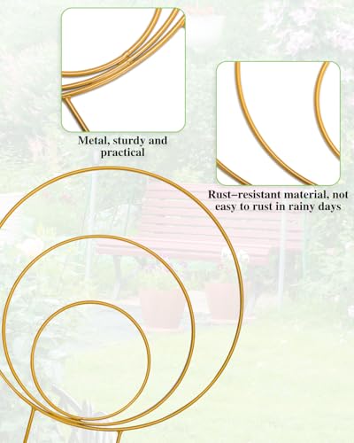 3 Pack Circle Plant Trellis Indoor, Small Metal Plant Support Stake for Climbing Plants, Different Sizes Round Garden Trellis for Ivy and Flowers Outdoor (Gold) - color: Gold