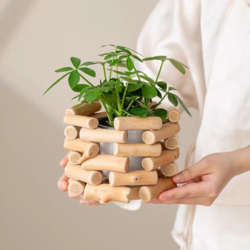 Farmhouse Solid Wood Openwork Vase - with 3.5 Inch Borosilicate Glass Liner, Indoor Tabletop Decor, Versatile Floral Container for Fresh & Dried Flowers, Hydroponics and Mini Potted Plants