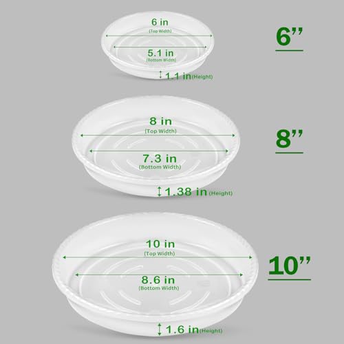 SupKing 6 Pack Plant Saucers (6inch /8inch /10inch),Heavy Sturdy Plant Trays Pot Tray for Indoor Clear Plastic Flower Pot Saucers Thicker Plant Water Drip Trays for pots(6" 8" 10") - color: Clear, size: 6in/8in/10in - 6 Pack