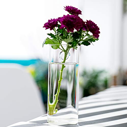 Wall Hanging Planter Glass Terrariums - Rectangle Shape Plants Holders Air Plants Succulents Planters Wall Flower Vase Containers for Plant, Decoration and Display,2 Pack - color: 2 Pack, size: Rectangular (M)