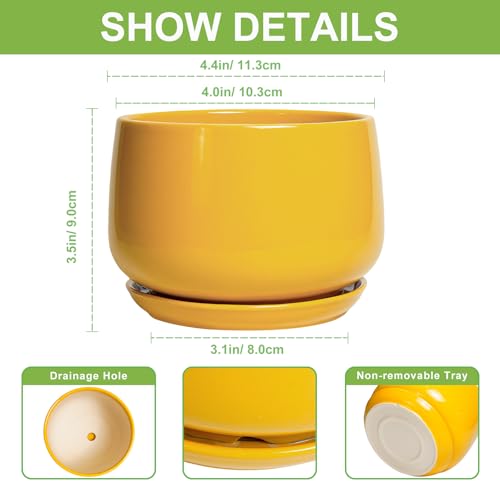 G EPGardening 4 Inch Ceramic Planter - Succulent Pots for Plants Indoor Outdoor, Small Plant Pots with Drainage Hole & Saucer, Round Planter, Modern Flower Pot, Home Decor, Plant Lover Gift, Yellow - color: Yellow, size: 4 Inch