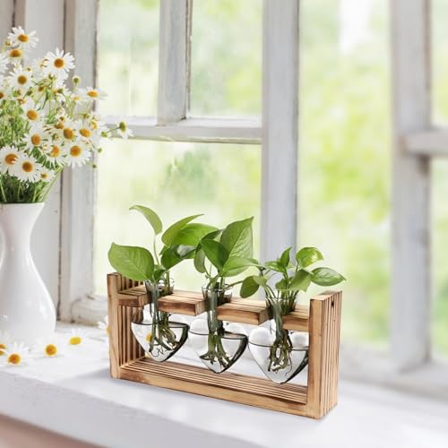 Propagation Stations,3 Bulb Glass Plant Propagation Station with Wooden Stand,Propagation Vases for Plants,Plant Propagation Tubes,Glass Planters for Indoor Plants,Vintage Desk Décor Gift (Heart) - color: Heart