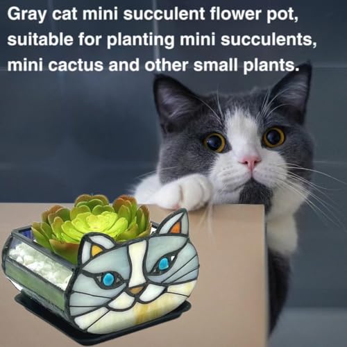 Cute Gray Cat Planter,Cat Succulent Planter,Unique Pots for Indoor Plants,Gifts for Plant Lovers Women Unique 4.33x3.54x2.95 in (Flower Pot Does not Include Plants) - color: Little Gray Cat