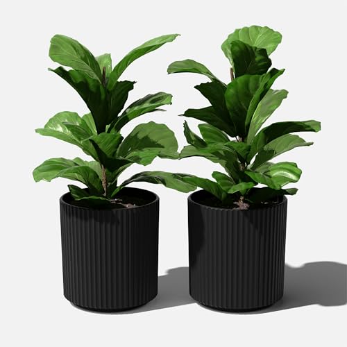 Veradek Demi Series Planter - Large Round Outdoor Planter - color: Black, size: 16 inch - 2 Pack