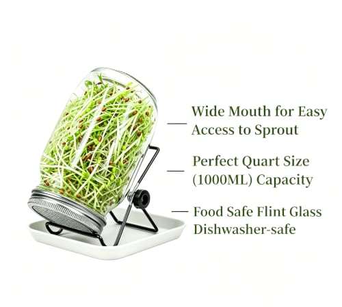 Lulonpon 4 Sprouting Jar Kit, Wide Mouth Quart Mason Jars with Stainless Steel Screen Sprout Lids, 86mm,1000ml,Stand,Tray and Canning Brush,Seed Sprouter Set for Growing Broccoli, Alfalfa, Mung Bean - color: White-NoCover4PTray
