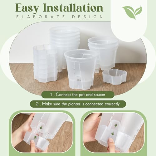 Wonderjune Self Watering Planter, 5.91'', Clear, 6 Pcs - color: Clear, size: 5.91''