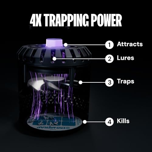 DynaTrap DT152 Indoor Insect Trap and Killer – Catches and Kills Gnats, Flies, Moths & Other Flying Insects - style: 1 Trap + 1 Glue Board