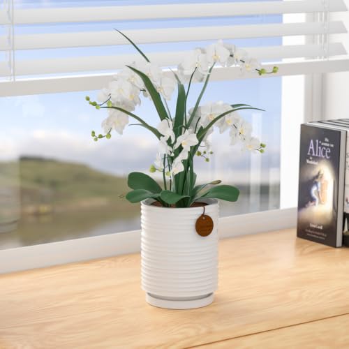 5.9 Inch White Ceramic Planter with Drainage and Saucer - color: White, size: Medium