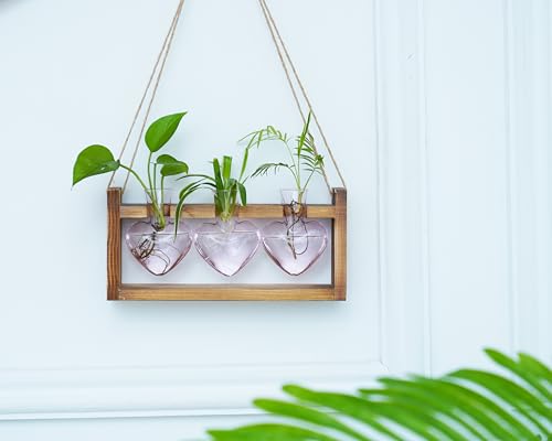 Kingbuy 3-Heart Plant Terrarium Kit with Vintage Wood Stand - Stained Glass Vase Propagation Station, Wall-Mounted & Tabletop Indoor Decor for Home Kitchen Wedding Gift, Light Pink - color: Light Pink