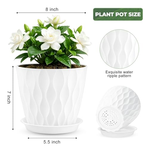 YNNICO 8 inch Plant Pots for Indoor with Drainage Holes and Tray Saucers - color: White, size: 8 inch-6 pack