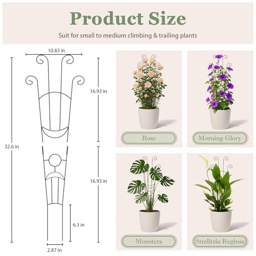 2 Pack Taller Plant Trellis for Climbing Potted Plants Indoor & Outdoor