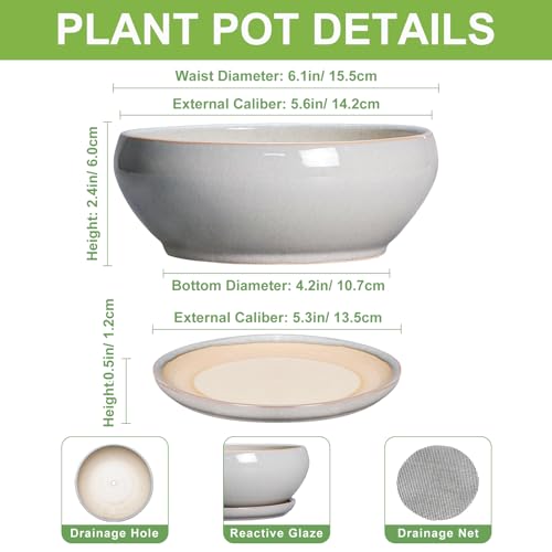 SQOWL Succulent Planters 6 Inch - Ceramic Bonsai Pots with Drainage Hole and Saucer, Shallow Planter for Indoor Plants Outdoor, Round Ceramic Pots for Plants Cactus, Room Decor, Garden Gifts, Gray - color: Gray, size: 6 Inch