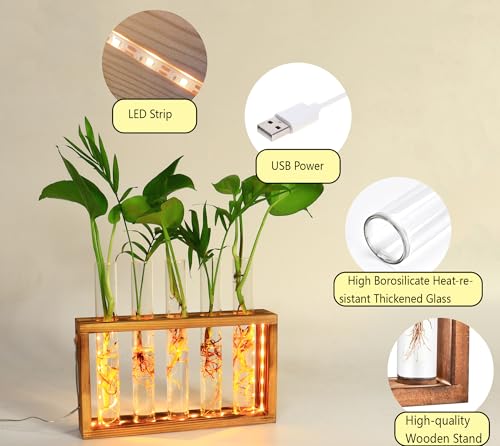 Plant Propagation Station with LED Lights, Plants Terrarium with Wooden Stand, 5 Glass Test Tube Vases for Propagating Hydroponic Plants Cutting Office Home Desk and Garden Decor Gift for Plant Lovers - color: Charcoal Black