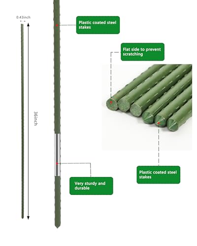 3ft Garden Stakes, Plastic Coated Steel Plant Stakes, 25pcs - size: 3FT