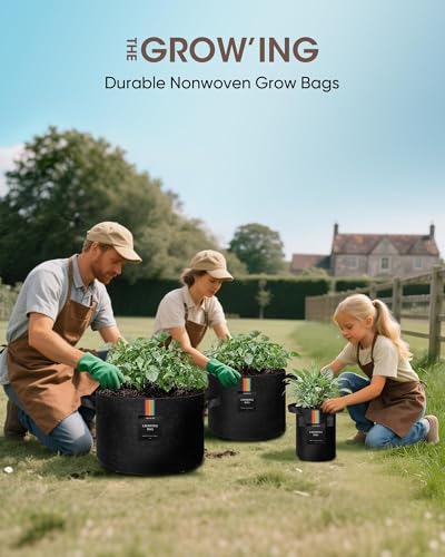 The Growing 5 Pack 3 Gallon Fabric Grow Bags,Thickened Aeration Nonwoven Fabric Plant Pots with Durable Handles,Heavy Duty 300G Planter Pot for Tomato, Fruits, Vegetables and Flowers, Black