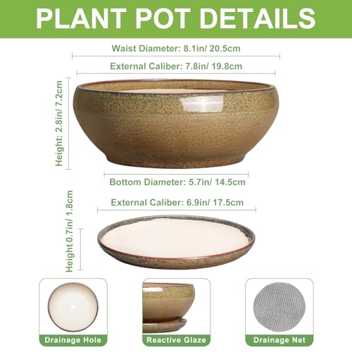 SQOWL Succulent Pots, 8 Inch Ceramic Bonsai Pots with Drainage Tray, Brown - color: Speckled-brown, size: 8 Inch