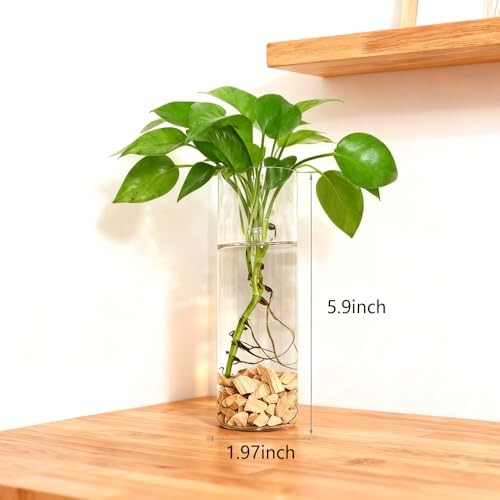 Wall Hanging Planter Propagation Station, Indoor Decor Glass Vases, 4 Pack