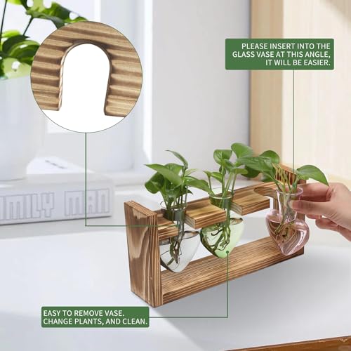 Plant Terrarium Propagation Stations Hydroponics - color: Color 2