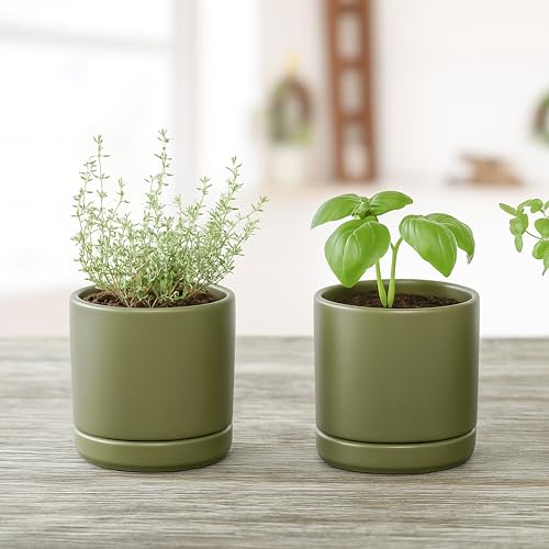 D'vine Dev 2-Pack Ceramic Pots with Saucers, Olive, 3.5 in, 94-V-A-J - color: Olive, size: 3.5 Inch