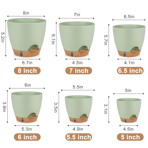 QRRICA 8/7/6.5/6/5.5/5 Inch Self Watering Pots for Indoor & Outdoor Plants - color: Green, size: 8/7/6.5/6/5.5/5 Inch