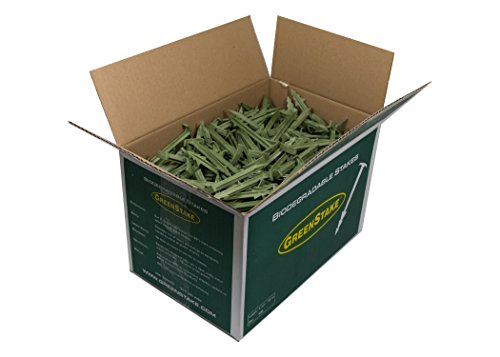 GreenStake Box of 500 Biodegradable Stakes 4"