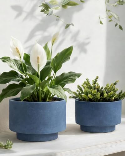 Succulent Pots, 8"+6" Plant Pots, Ceramic Planters for Indoor Plants - color: Blue