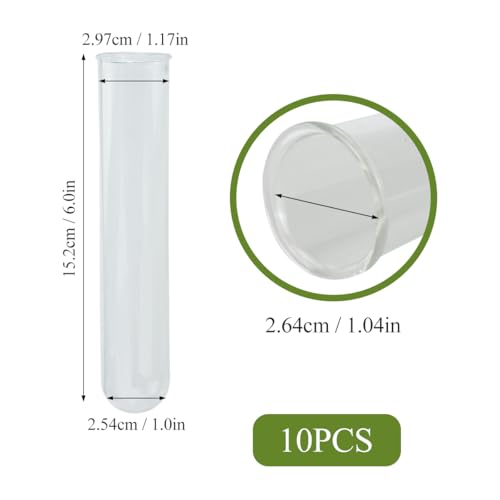 8 Pcs Glass Plant Propagation Test Tubes, Glass Tubes for Plants Plant Propagation Large Test Tube Tubes Hydroponic Test Tube for Hydroponic Flowers Home Office Desktop Decoration (15cm)