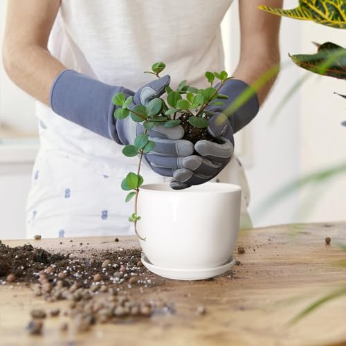Ceramic Plant Pots, White, 5.5 Inch, 4 Pack - size: 5.5 Inch 4 Pcs
