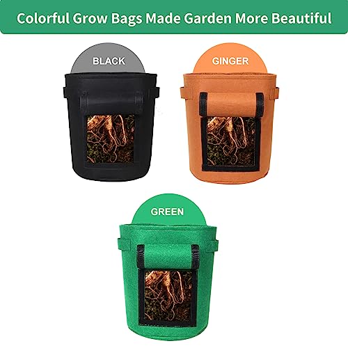 5-Pack 10 Gallon Grow Bags with Harvest Window - Thickened Fabric Plant Pots for Vegetables, Potato, Tomatoes & Carrots | Indoor/Outdoor Gardening Containers with Reinforced Handles Green - size: 10GAL-GRN