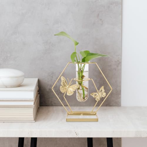 IMIKEYA Glass Test Tube Vase with Butterfly Frame Stand