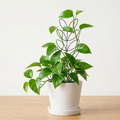 2 Pack Small Plant Trellis for Pots Indoor