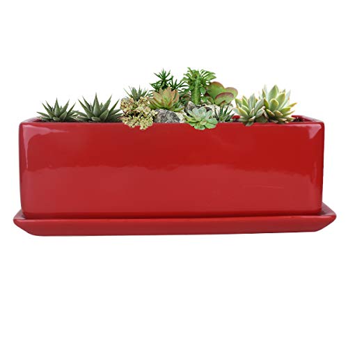 Vencer 12 Inch Rectangular Modern Minimalist Ceramic Succulent Planter Pot - Window Box with Saucer,Office Desktop Potted Stand,Red,VF-0135R - color: Red, size: 12 Inch