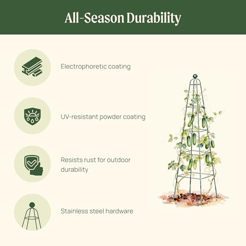 Vego Garden 6.5 ft Pyramid Obelisk Garden Trellis, Metal Rustproof Plant Support Rose Trellis, Tower Potted Cages for Flowers Fruits Vegetable Vines Indoor & Outdoor - size: 6.5 Ft