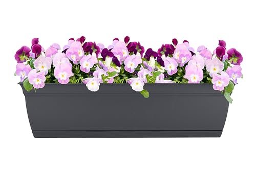 The HC Companies Eclipse Window Planter Box, 30 Inch, Warm Gray, 2-Pack - color: Warm Gray, size: 30" (Pack of 2)