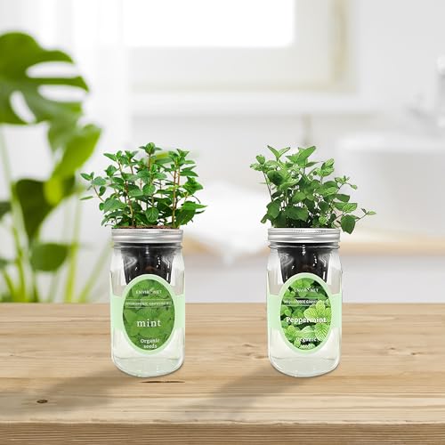 2-Pack Hydroponic Mason Jar Herb Garden Kit, Indoor Herb Garden Self-Watering Starter Kit, New Christmas Gift for Mom (Mint,Peppermint)