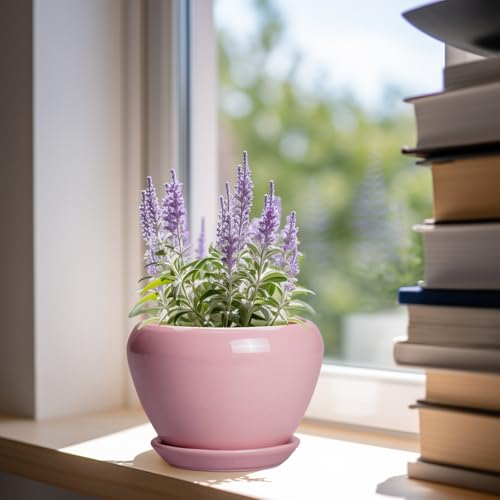 Ceramicfor 6 Inch Plant Pot - Ceramic Pot for Indoor Plants, Glaze Modern Decorative Round Ceramic Planter with Drainage Hole and Saucer, Plant Lover Gifts, Home Garden Room Office Decor, Pink - color: Pink, size: 6 Inch
