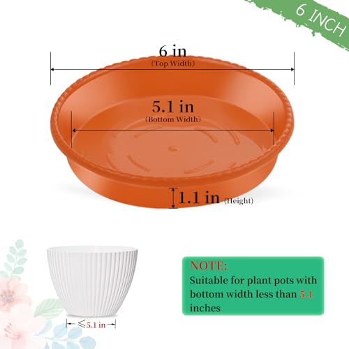 SupKing 6 Pack Plant Saucers Drip Tray,6 Inch Heavy Sturdy Plastic Flower Pot Saucers for Indoor, Plastic Planter Water Tray for Plant Pots Liners (6''-Terracotta) - color: Terracotta, size: 6in - 6 Pack