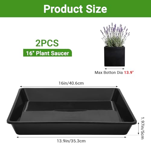 GREANER Black Humidity Tray for Orchids, 16 Inch Large Plant Trays to Catch Water-Fits 12-13 Inch Pot Bottom, Plant Trays for Indoors Outdoor No Holes(2 Packs) - color: Black, size: 16 Inch