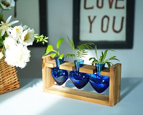 Kingbuy 3-Heart Plant Terrarium Kit with Vintage Wood Stand - Stained Glass Vase Propagation Station, Wall-Mounted & Tabletop Indoor Decor for Home Kitchen Wedding Gift, Blue - color: Blue