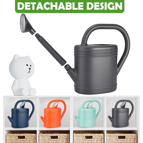 1 Gallon Watering Can for Indoor Plants, Garden Watering Cans for Outdoor Plant House Flower, Modern Plant Watering Can Large Long Spout with Sprinkler Head - color: Gray, size: 1 Gallon